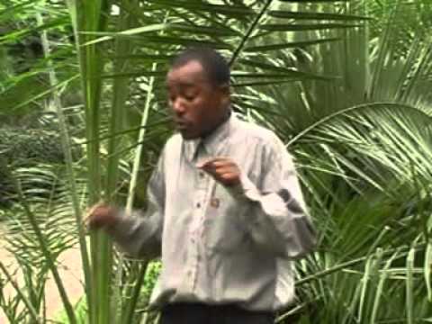 [OFFICIAL VIDEO] KIJANA MUMO - KAVITHUA / BEST TOP NEW KAMBA SONG