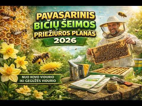 PAVASARINĖ BIČIŲ PRIEŽIŪRA