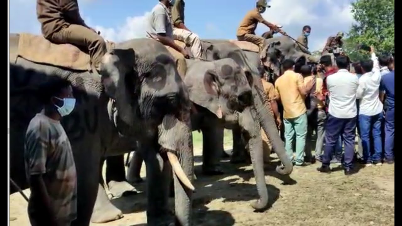 বিশ্ব পৰ্যটকৰ বাবে মুকলি হ'ল কাজিৰঙা ৰাষ্ট্ৰীয় উদ্যান  : বনমন্ত্ৰী পৰিমল শুক্লবৈদ্য মুকলি কৰে ৰাষ্ট্ৰীয় উদ্যানখন |