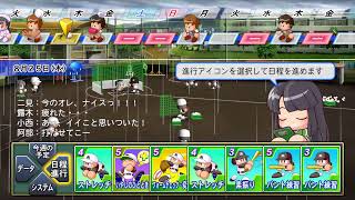 パワプロ　栄冠ナイン　甲子園への軌跡