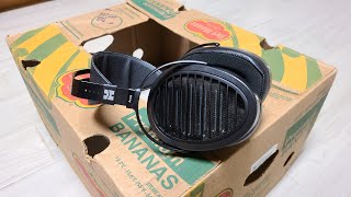 HiFiMAN Arya Review