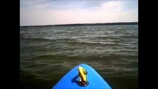 preview picture of video 'Pyranha Lake Cruisin'