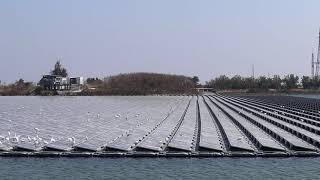 Re: [新聞] 「烏山頭光電板用藥水洗」業者喊告　綠