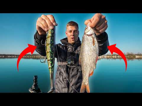 What's the point of the MONSTER PIKE? Baitfish or artificial bait?!