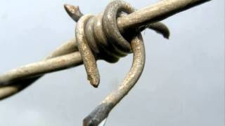 Babybird   Take Me Back