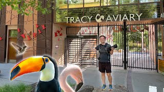 Seeing Exotic Birds at Salt Lake City's Tracy Aviary!