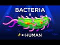 How Large Can a Bacteria get? Life & Size 3 DEFAULT Thumbnail