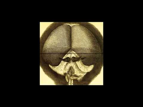 Micah Blue Smaldone - Time (2013)