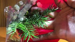 Muerdago - Para la suerte y para el amor -7 de diciembre de 2020