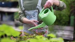 Natural beauty you want to explore