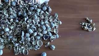 YouTube Video Preview