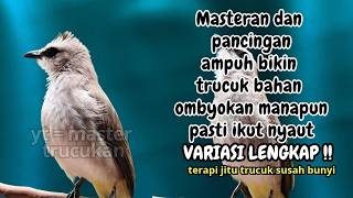 Download lagu Trucukan GACOR ngalas ROPEL PANJANG suara alam AMPUH buat pancingan jadikan trucuk Gacor GARUDA mp3