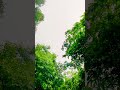 Yai Barish Hai Noor Ki