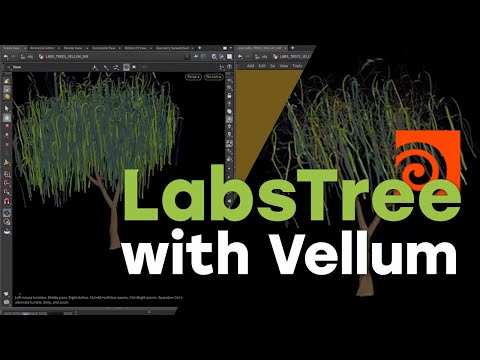 Houdini Adventure - Simulate the Labs Trees with Vellum