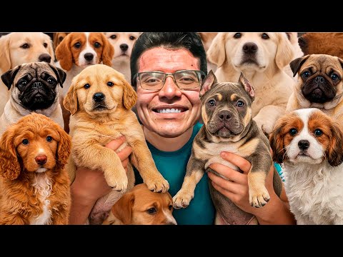 This was EXPO Can CDMX 🐶 I've never seen such rare breeds! (Edited)