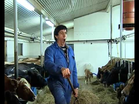 Hraustustu menn í Heimi