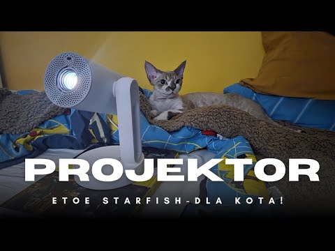 ETOE Starfish - gadżet, który pokochasz i znienawidzisz. Szczera recenzja.