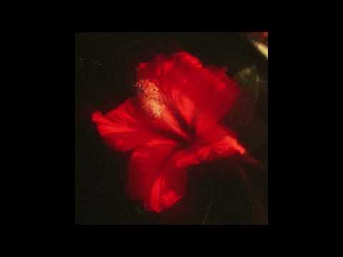 (FREE) Joey Bada$$ x Mick Jenkins Type Beat - Overnight