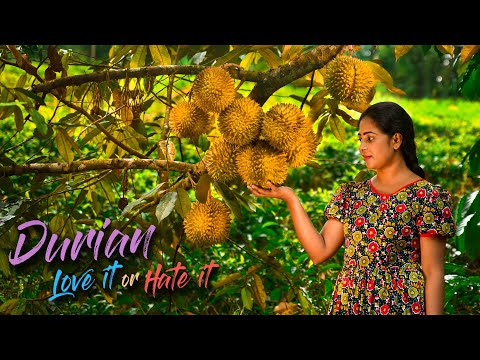 The cooking mission of making my Brother love "Durians" with Yummy Durian desserts | Traditional Me