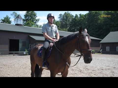 What's in Your Arena with Steven Bluman || Dalman Jump Co.