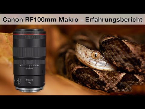Canon RF 100mm f/2.8 L IS Macro - Erfahrungsbericht aus Costa Rica