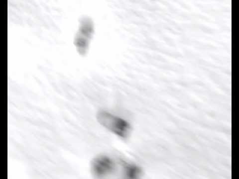 Дмитрук О. Відеопроект I. 2011. АРТ-ГАЛЕРЕЯ Молода Волинь - YouTube