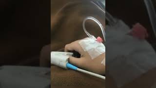 Download lagu 30 Januari 2021(2) mp3