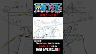 アニメ「#ONEPIECE」見放題配信への追加は木曜日‼️1170話‼️ #onepiece #原撮
