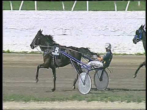 Trotto 08/10/2015 - 1° corsa