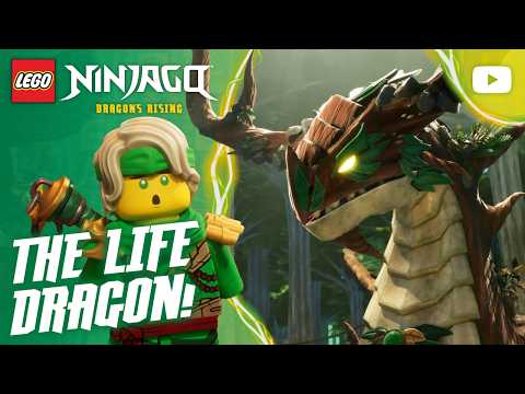 BRAND NEW 🌟 Lloyd Meets the Life Dragon! 🐉 | Season 4 | Episode Clip | LEGO NINJAGO: Dragons Rising