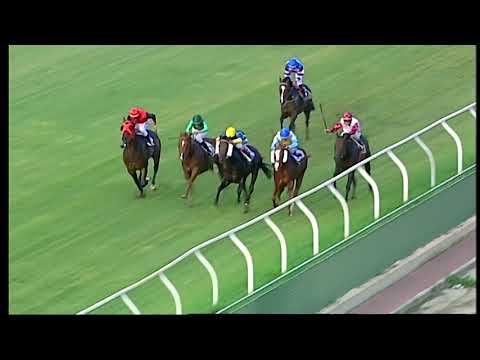 Napoli Galoppo 11/08/2021 - 2ª corsa