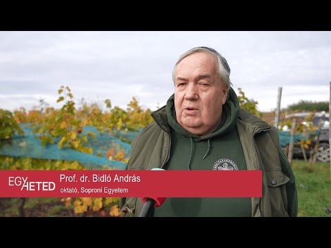 Egyheted – közéleti magazin – 2025.11.06.– Csütörtök