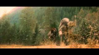 Endtapes   The Joy Formidable Official Clip MOVIE TRAILER   HD 1080p