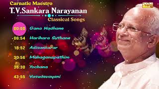 Carnatic Maestro - T V SankaraNarayanan Classical Songs | Pearls Of Periasami Thooran | TVS Classics