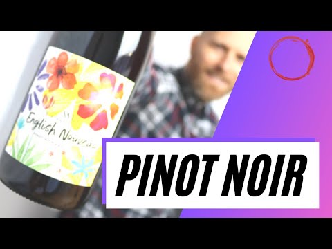 What is PINOT NOIR - Everything you need to know about this popular grape