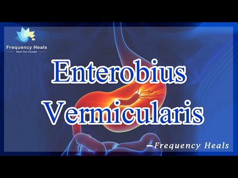 enterobius vermicularis kod odraslih