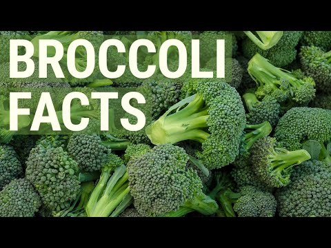 , title : '6 Healthy Facts About Broccoli You May Not Know About'