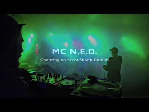Dub Splash Sound ft: N.E.D. - live chant on Sensi Skank Riddim