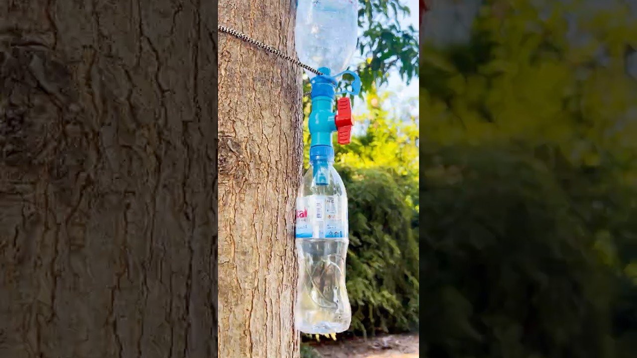 SAVE Water with This Simple Tip! Hacks