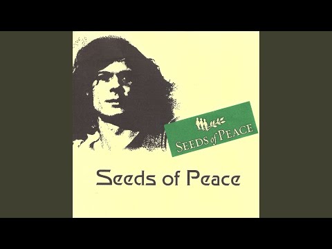 Brief an einen Soldaten