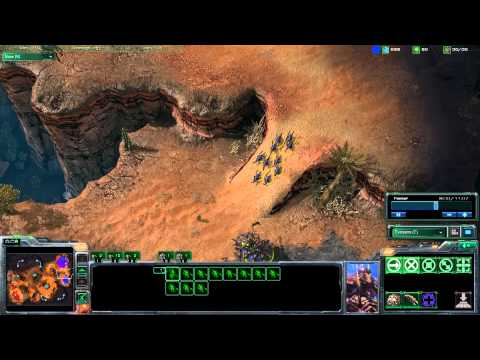 [80] Liquid Tyler (P) vs EGMachine (Z) G1.avi