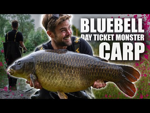 Surface Fishing At Bluebell Lakes- UK 40lb Carp! 😍🔥