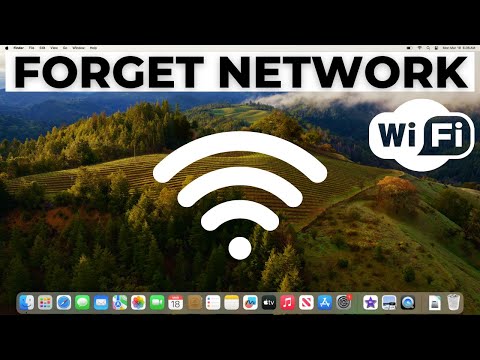 How to Copy and Paste on MacBook