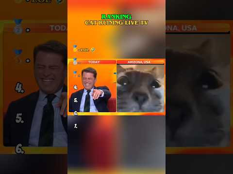 Top 7 Cats Ruining Live TV 💀