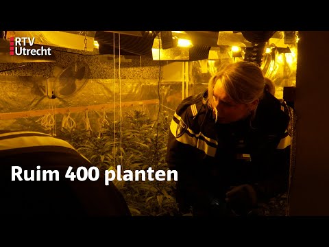 Politie doet bizarre vondst in woonwijk | RTV Utrecht