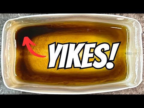 EXPIRED: When Does New Oil Go Bad?