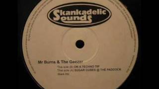Mr Burns & The Geezer - On a techno tip