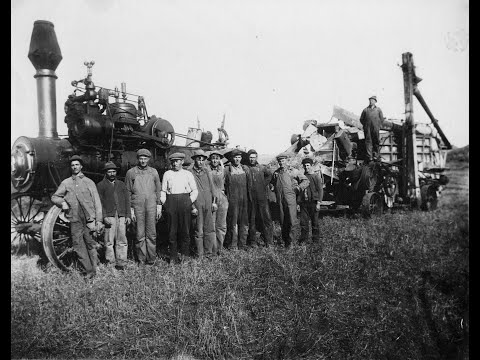 From Hay Powered Horses to Gas Powered Tractors: A Brief History of the Tractor