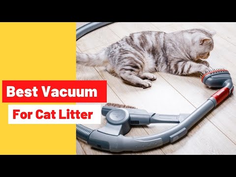 Top 5 Best Vacuum Cleaners For Cat Litter Reviews 2022