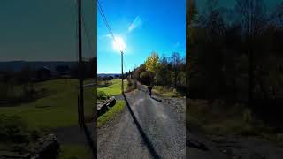 Bøveien nedover brattbakken på grusen til Ovenstadlia #emtb #sworks #turbolevo #insta360go3s